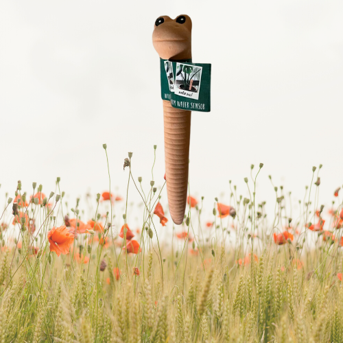 Willy de worm water sensor