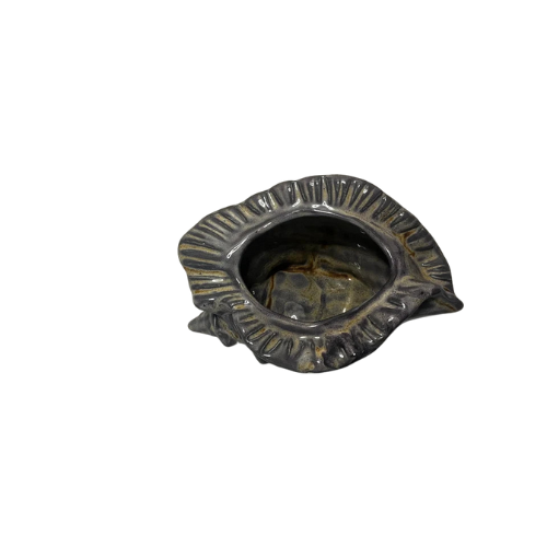 Tiki Mok - Sea Shell