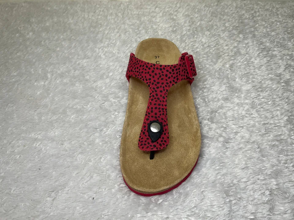 Cloxx Slipper - Links 37