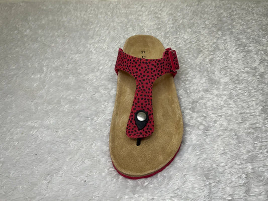 Cloxx Slipper - Links 37