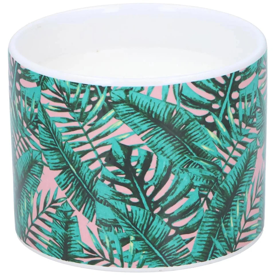 Citronella-Kerze im Glas