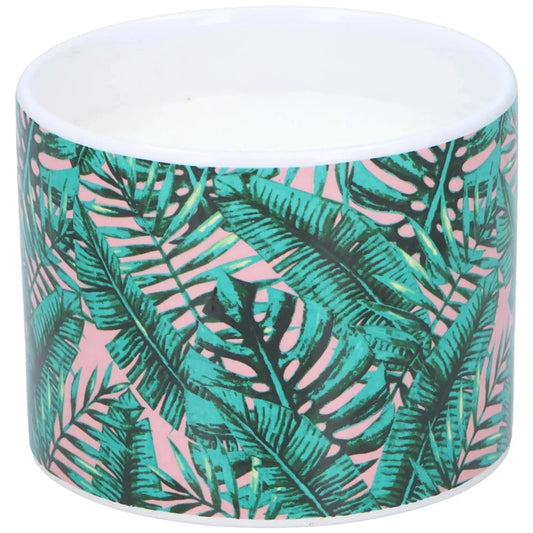 Citronella-Kerze im Glas
